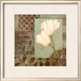 Believe, Tulips