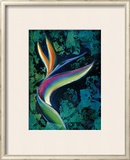 Buy Bird of Paradise at AllPosters.com