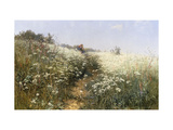 A Lady with a Parasol in a Meadow with Cow Parsley, 1881