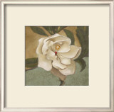 Buy Spring Magnolia II at AllPosters.com