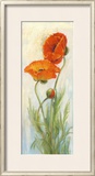 Buy Rembrandt Poppies at AllPosters.com