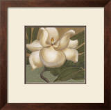 Buy Spring Magnolia I at AllPosters.com