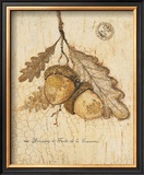 Buy Gilded Oak at AllPosters.com