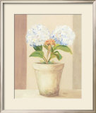 Buy Hydrangeas in White Pot at AllPosters.com