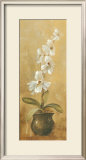 Orchids in Bronze Bowl II