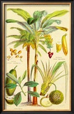Buy Plants Used As Food at AllPosters.com