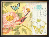 Notes of a Peony Framed Art Print