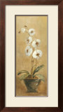 Orchids in Bronze Bowl I