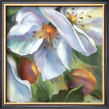 More Petals II