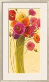 Amapola Barcelona II
