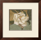 Buy Spring Magnolia II at AllPosters.com
