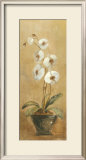 Orchids in Bronze Bowl I