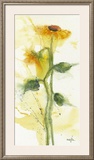 Tournesol II