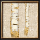 Buy Natural Wonder at AllPosters.com