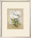 Buy Calla Lilly Poetry at AllPosters.com