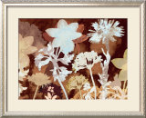 Translucent Shadows I