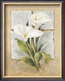 Buy Calla Lilly Poetry at AllPosters.com
