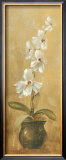 Orchids in Bronze Bowl II