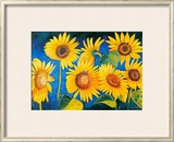 Buy We Kings of Summer at AllPosters.com