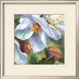 More Petals II
