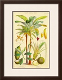 Buy Plants Used As Food at AllPosters.com