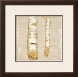 Buy Natural Wonder at AllPosters.com