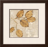 Buy Natural Renewal at AllPosters.com