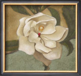 Buy Spring Magnolia II at AllPosters.com