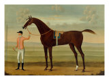 Buy A Bay Racehorse with his Jockey on a Racecourse at AllPosters.com