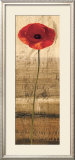 Poppy Panel II