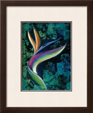 Buy Bird of Paradise at AllPosters.com