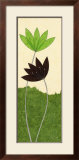 Chocolate Lotus Flower