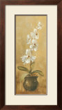 Orchids in Bronze Bowl II
