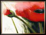 Buy Faszination Mohn I at AllPosters.com