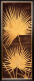 Buy Fan Palm Triptych II at AllPosters.com