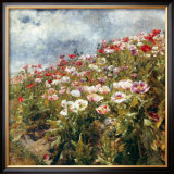 Buy Seaside Poppies at AllPosters.com