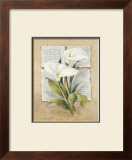 Buy Calla Lilly Poetry at AllPosters.com