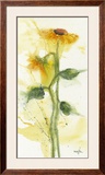 Tournesol II