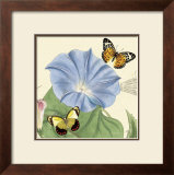Buy Morning Glory at AllPosters.com