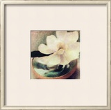 Buy Nature's Blossoms III at AllPosters.com