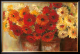 Chelsea Gerberas