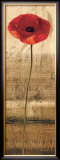 Poppy Panel II