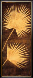 Buy Fan Palm Triptych III at AllPosters.com