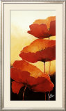Three Red Poppies II