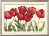 Ruby Tulips