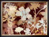 Translucent Shadows I