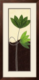 Buy Green Lotus Flower at AllPosters.com
