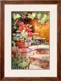 Steps of Provence