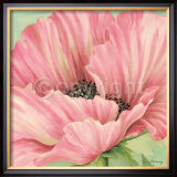 Buy Pink Poppy Flower Head at AllPosters.com