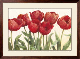 Ruby Tulips
